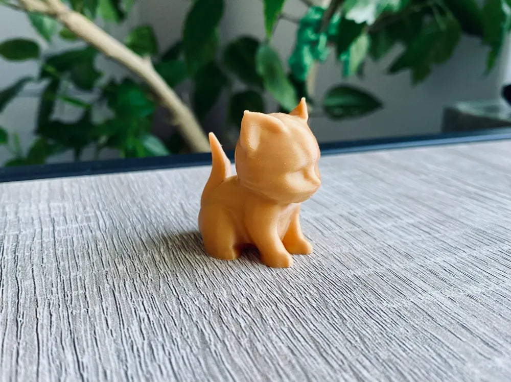 Niedliches Kätzchen